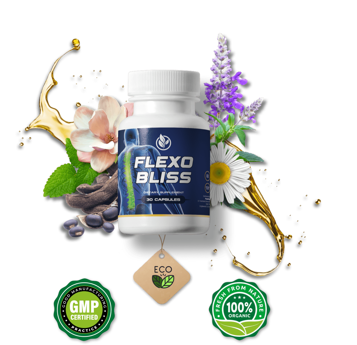 FlexoBliss Support back health